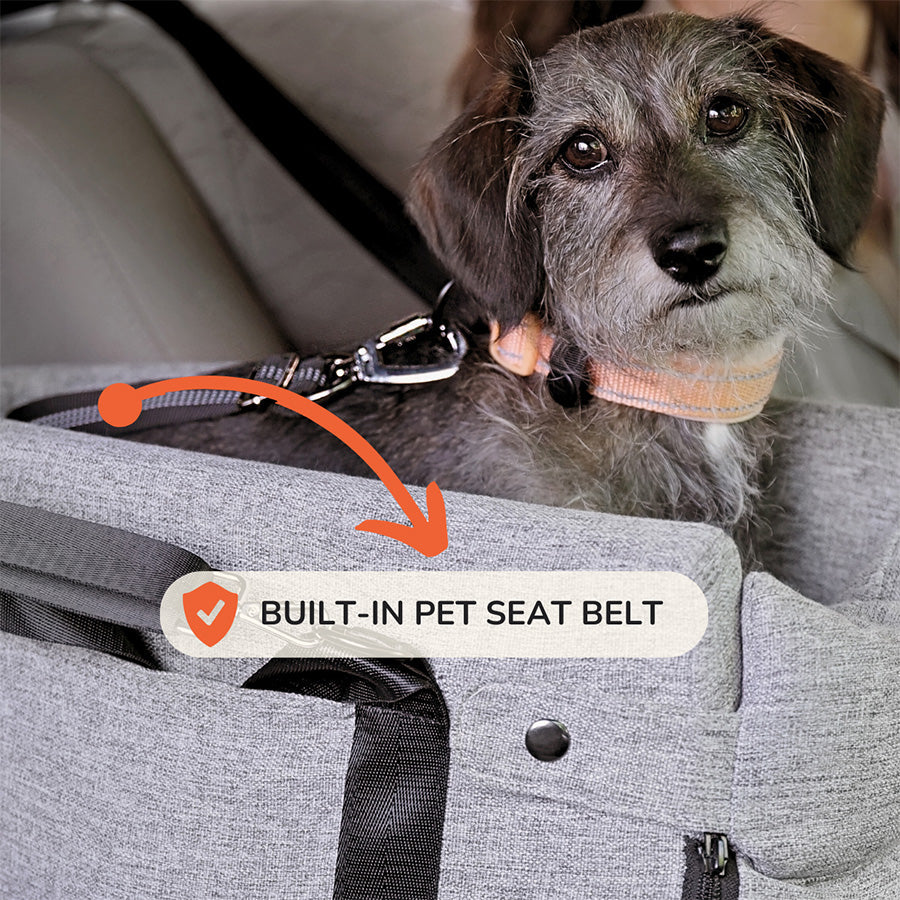 PawSeat™ Pet Prowler: Safety & Comfort Unleashed